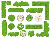 Top view trees and bushes. Forest tree, green park bush and plant map elements look from above isolated vector set