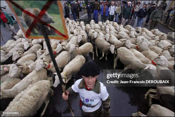 Opponents To Reintroduction Of Bears In The Pyrenees Demonstrate In Bagneres-De-Bigorre - On May 13Th, 2006 - In Bagneres De Bigorre, France - Here,...