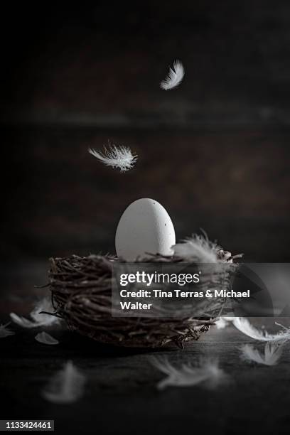 egg in nest on dark wooden background. easter. - fond holz stock pictures, royalty-free photos & images