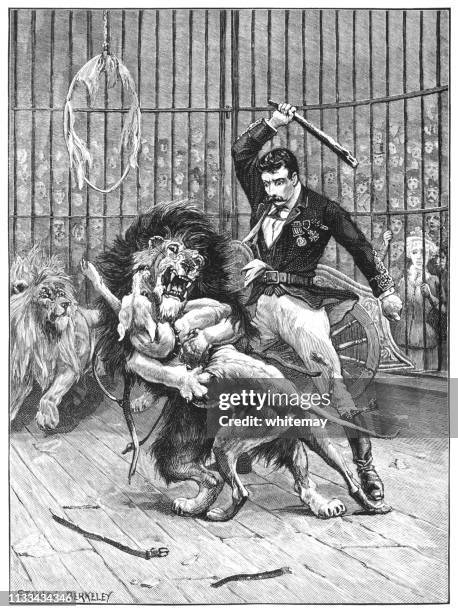 victorian lion-tamer attempting to stop a dog and a lion fighting - lion tamer stock illustrations