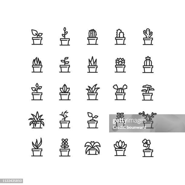 ilustrações de stock, clip art, desenhos animados e ícones de plant in pot outline icons - vaso de flor
