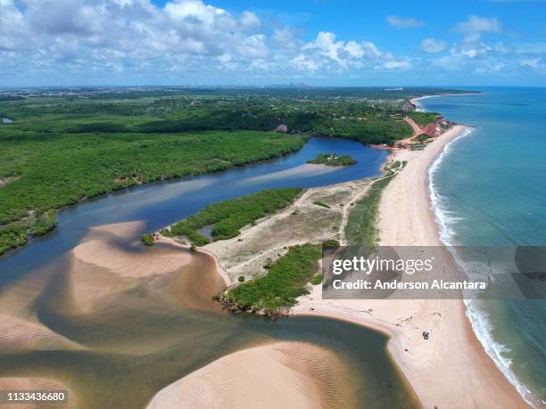 paradise beach barra de gramame - joão pessoa stock pictures, royalty-free photos & images