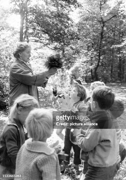 Kinder des Kindergartens Plänterwald sammeln am während eines Spaziergangs im Treptower Park in Berlin buntes Herbstlaub zum Basteln.