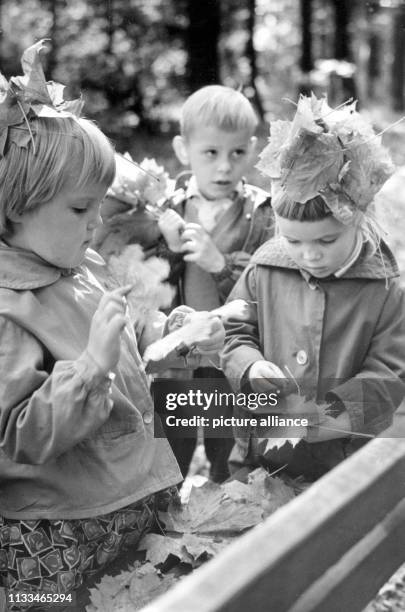 Kinder des Kindergartens Plänterwald sammeln am während eines Spaziergangs im Treptower Park in Berlin buntes Herbstlaub zum Basteln.