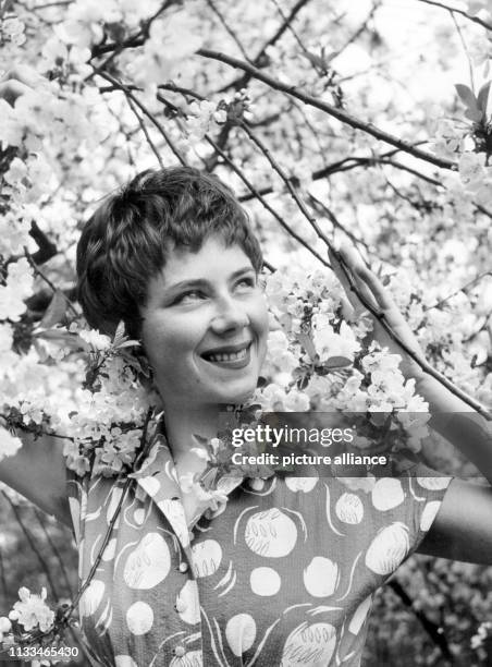 Lächelnd steht eine Frau an einem blühenden Obstbaum, aufgenommen im Frühling 1955 in Düsseldorf.