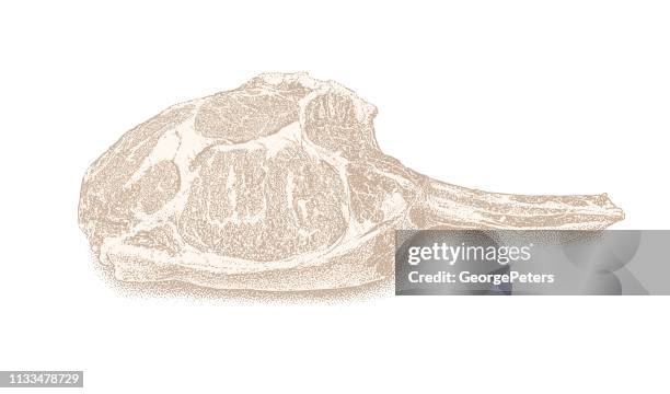 bone-in rib eye steak. usda prime, cowboy cut. - fillet stock illustrations