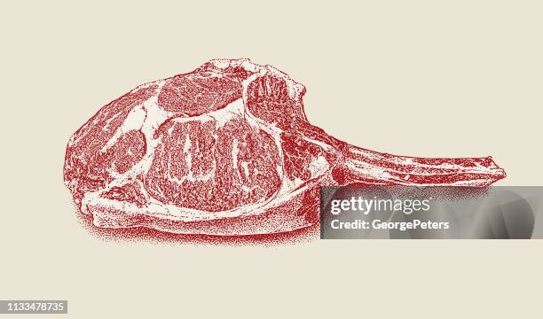 bone-in rib eye steak. usda prime, cowboy cut. - tomahawk stock illustrations