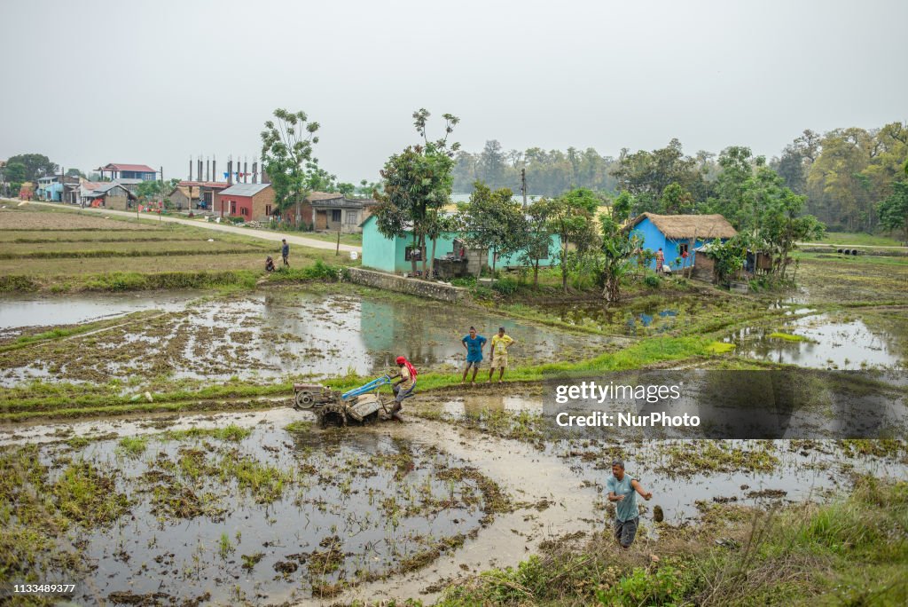 Daily Life In Chitwan National Park