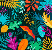 Jungle background with tropical palm leaves.