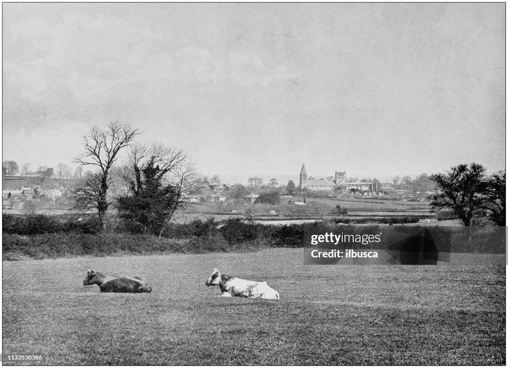 Antique black and white photograph of England and Wales: Southwell