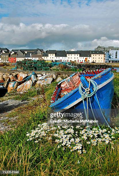 daisies and row boat.. - claddagh stock-fotos und bilder