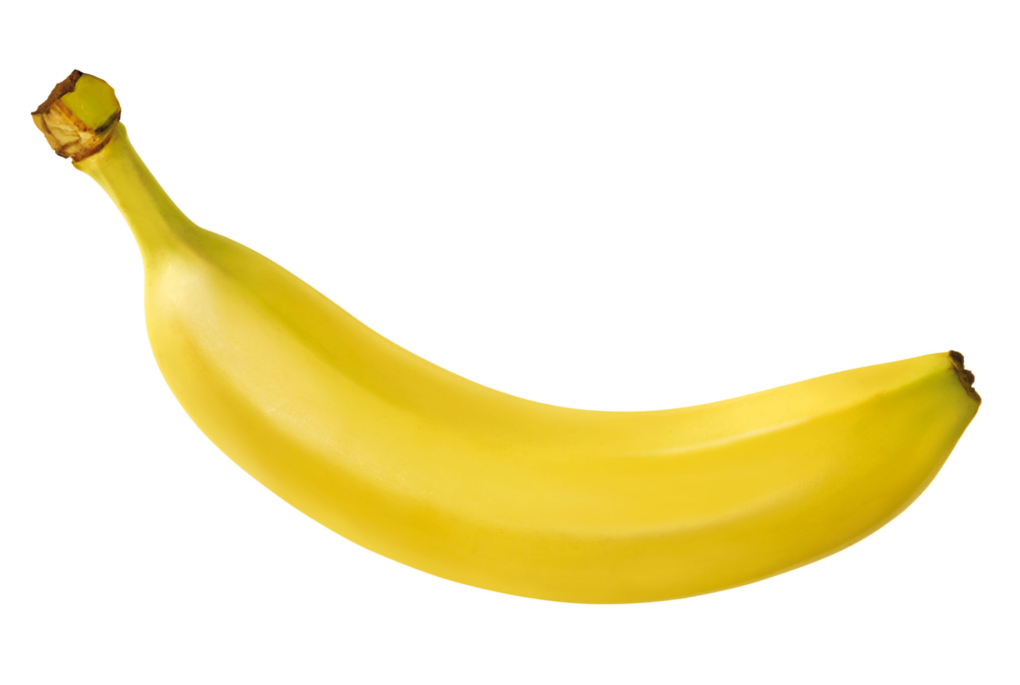 gesunde ernährung