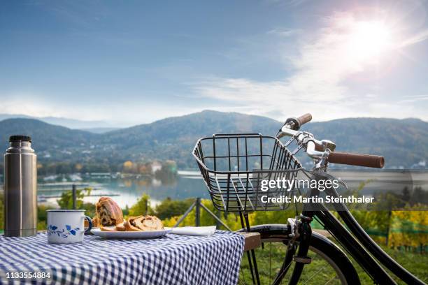 radtour am wörthersee - picknick mit kärntner reindling - bicycle basket stock pictures, royalty-free photos & images