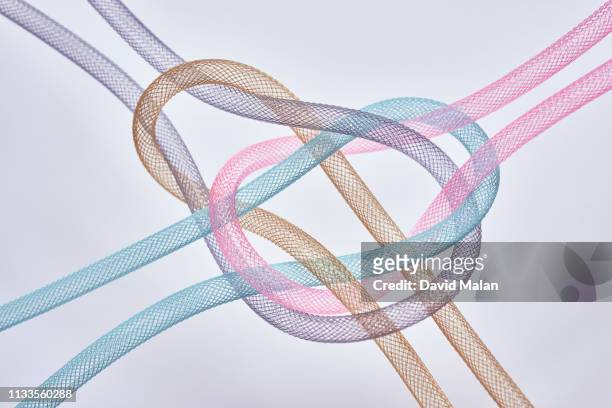 Purple, blue, brown & pink mesh tubes linked together, over a white background.