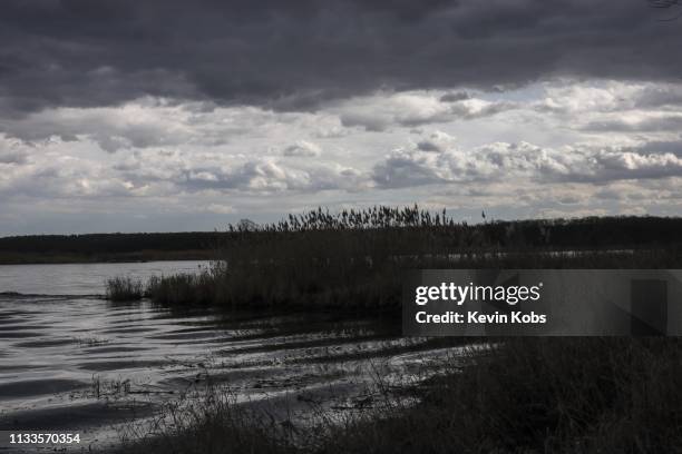 shore on the island ziegenwerder with dramatic clouds. - sturmbewölkung fotografías e imágenes de stock