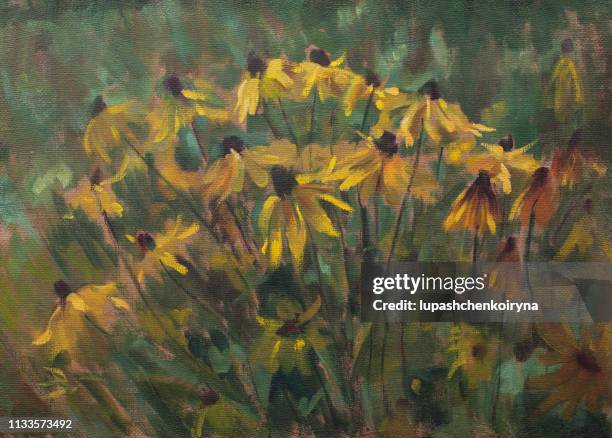 fashionable illustration modern art work flowers my original oil painting on canvas impressionism  horizontal summer landscape blooming in a bed of rudbeckia against the green grass of the leaves of the stems and buds of garden plants - black eyed susan stock illustrations