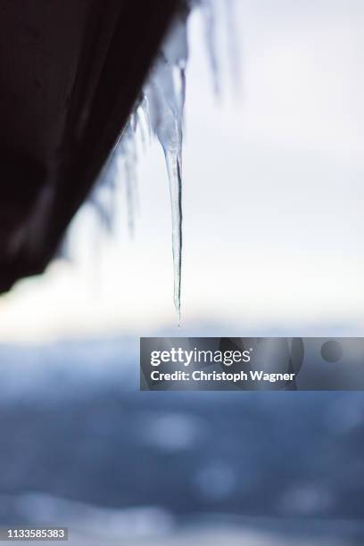 bayern - walchensee winter - eingefroren stock pictures, royalty-free photos & images