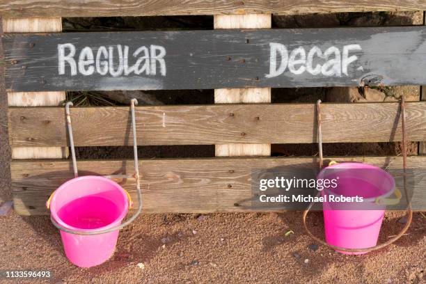 buckets on beach used as dog water bowls with humorous sign - decaffeinated stock pictures, royalty-free photos & images