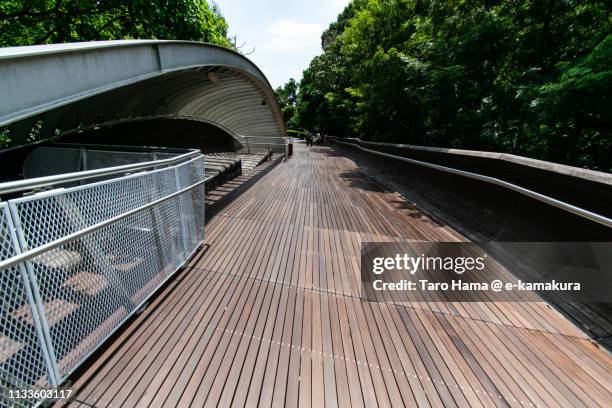 henderson waves in singapore - henderson waves bridge stock pictures, royalty-free photos & images