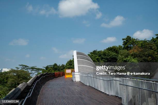 henderson waves in singapore - henderson waves bridge stock pictures, royalty-free photos & images