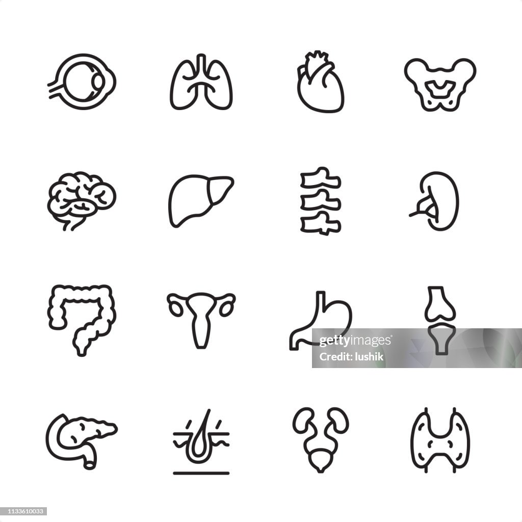Internal Organ - outline icon set