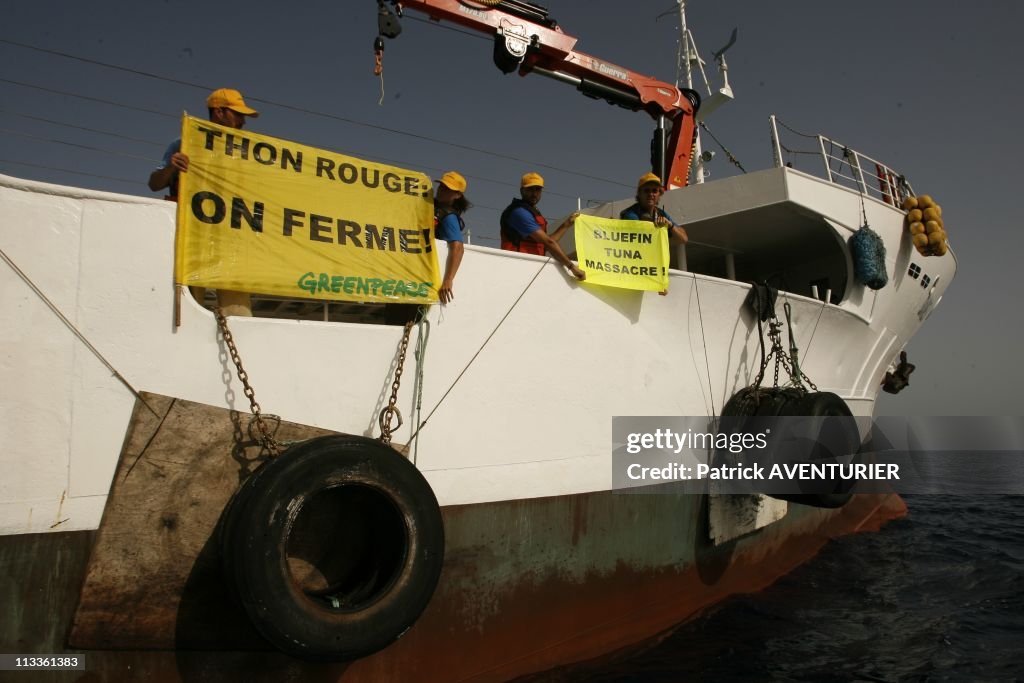 Greenpeace operation to save the last Bluefin Tunas in the Mediterranean Sea On June 20, 2007.