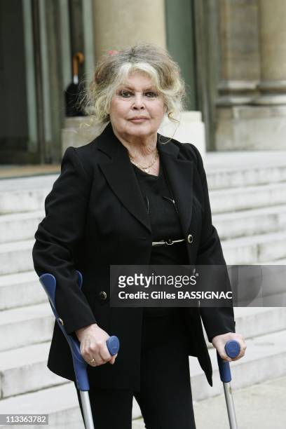 Former Actress And Now Animals Rights Activist Brigitte Bardot Invited For A Meeting On The Environment With French President Nicolas Sarkozy, At The...