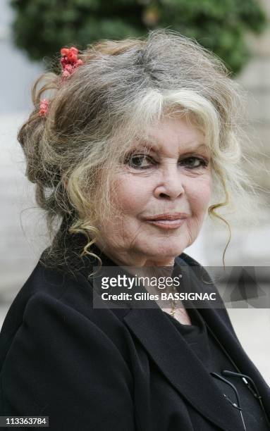 Former Actress And Now Animals Rights Activist Brigitte Bardot Invited For A Meeting On The Environment With French President Nicolas Sarkozy, At The...