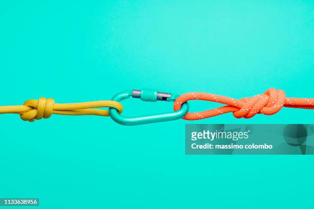 connection concepts with climbing ropes and carabiners. - legame affettivo foto e immagini stock