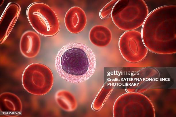 stockillustraties, clipart, cartoons en iconen met lymphocyte white blood cell, illustration - white blood cells