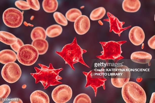 acanthocyte abnormal red blood cells, illustration - hepatitis a stock illustrations