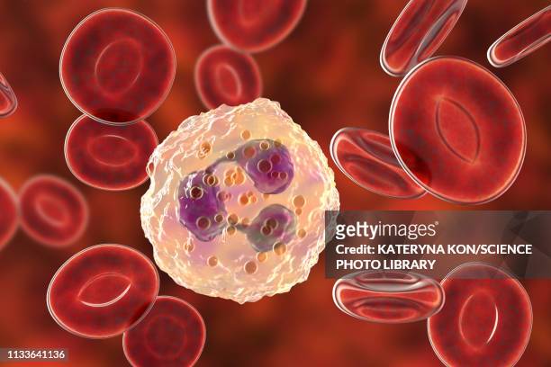 illustrazioni stock, clip art, cartoni animati e icone di tendenza di neutrophil white blood cell, illustration - granulocita neutrofilo