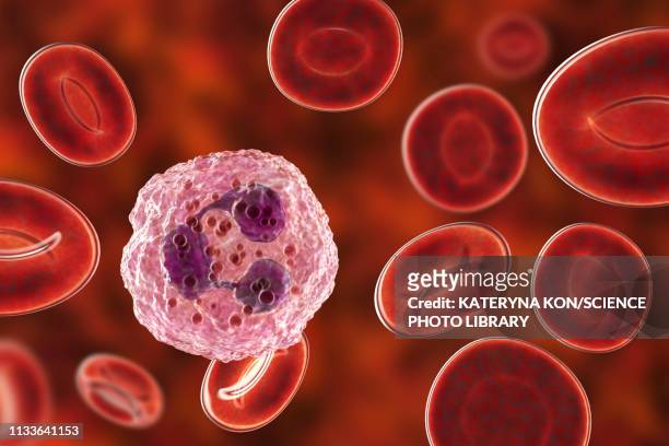 4,670 Hematology Photos and Premium High Res Pictures - Getty Images