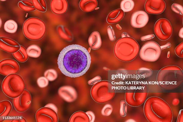 blood after hemotransfusion for anaemia, illustration - eisenmangel stock-grafiken, -clipart, -cartoons und -symbole