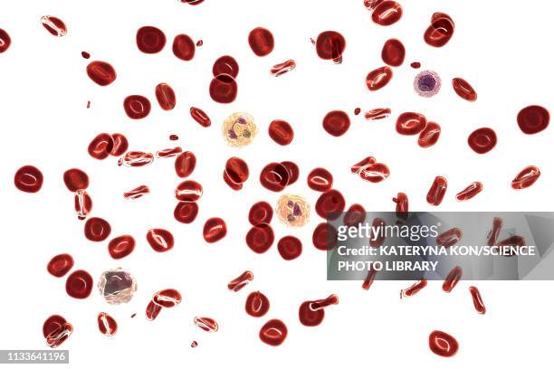 normal blood smear, illustration - platelet点のイラスト素材／クリップアート素材／マンガ素材／アイコン素材