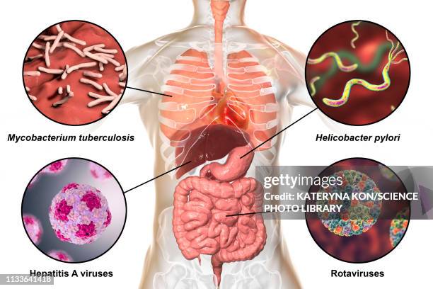 bacteria that cause human infections, illustration - rotavirus stock illustrations