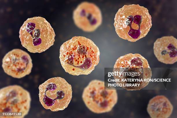 meningococcal meningitis, illustration - meningitis stock-grafiken, -clipart, -cartoons und -symbole