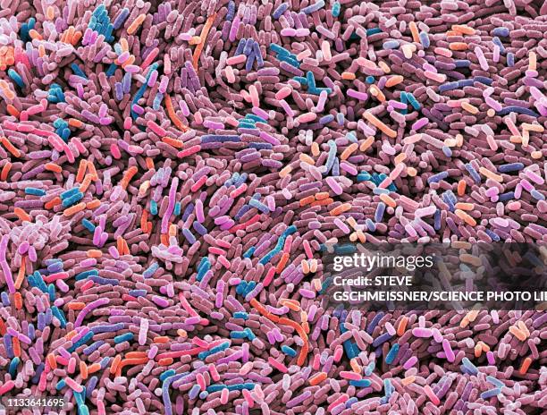 stockillustraties, clipart, cartoons en iconen met ecoli bacteria, sem - diarrhea