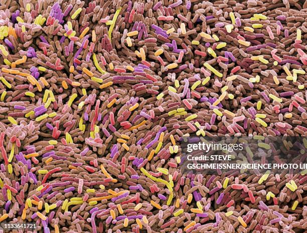 stockillustraties, clipart, cartoons en iconen met ecoli bacteria, sem - diarrhea