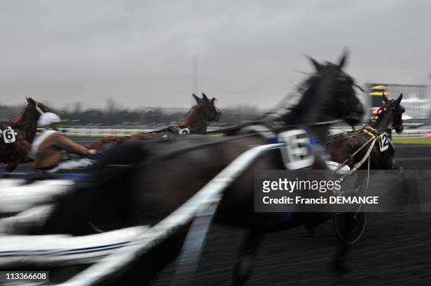 Exclusive - 'Grands Prix' Backstages In Paris, France On January 18, 2008 - Vincennes's racecourse measures 42 hectares - It is specified for horse...