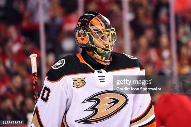 Anaheim Ducks Goalie Ryan Miller looks on between whistles during the second period of an NHL game where the Calgary Flames hosted the Anaheim Ducks...