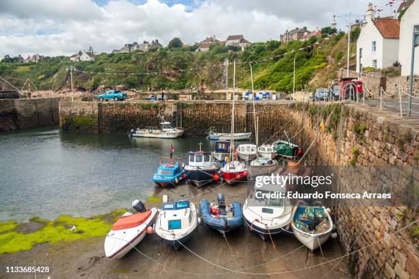 crail harbour - fife scotland stock pictures, royalty-free photos & images