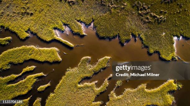 coastal marsh - estero zona húmeda fotografías e imágenes de stock