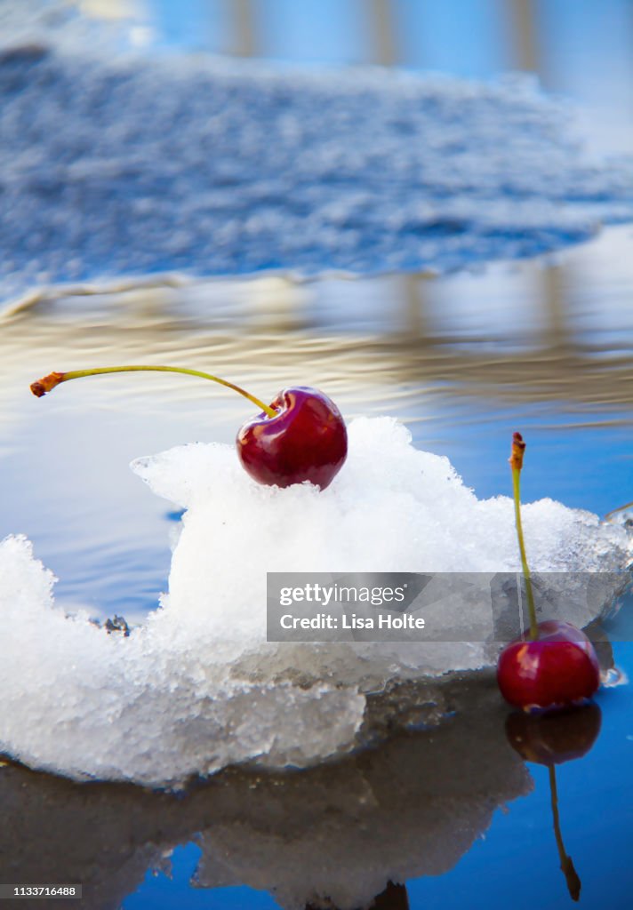 Cherries In The Snow