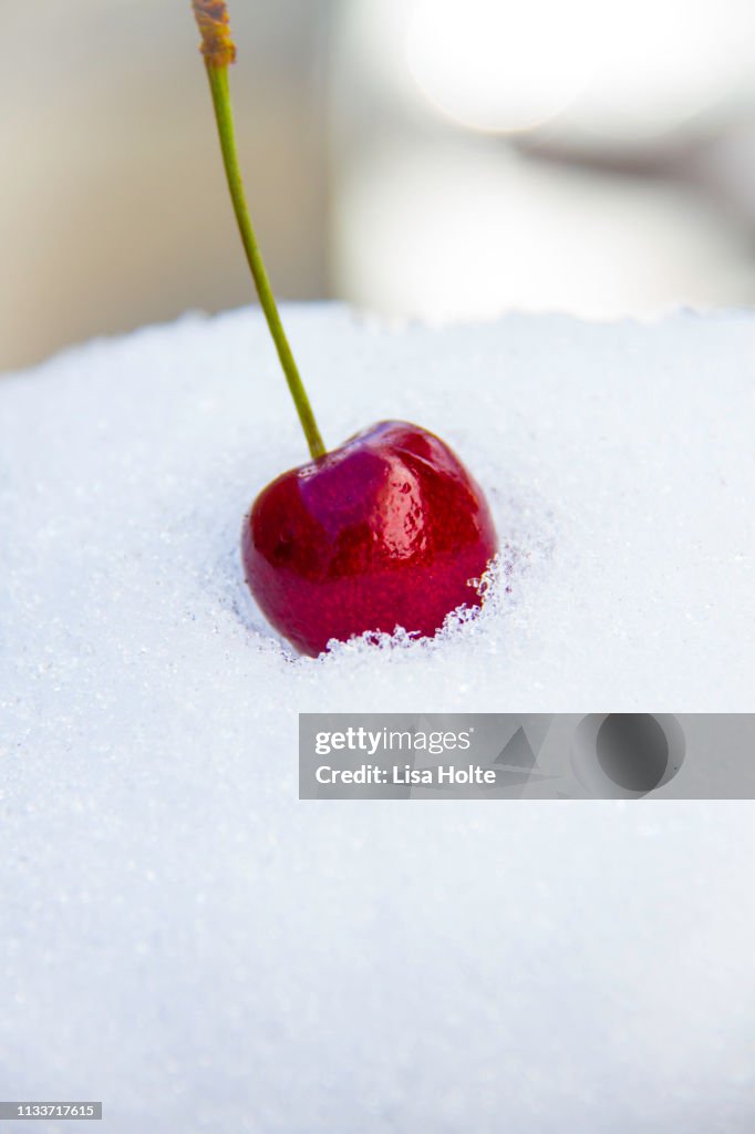 Cherries In The Snow