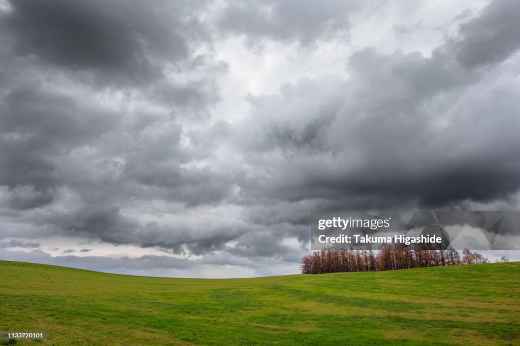 Autumn clouds