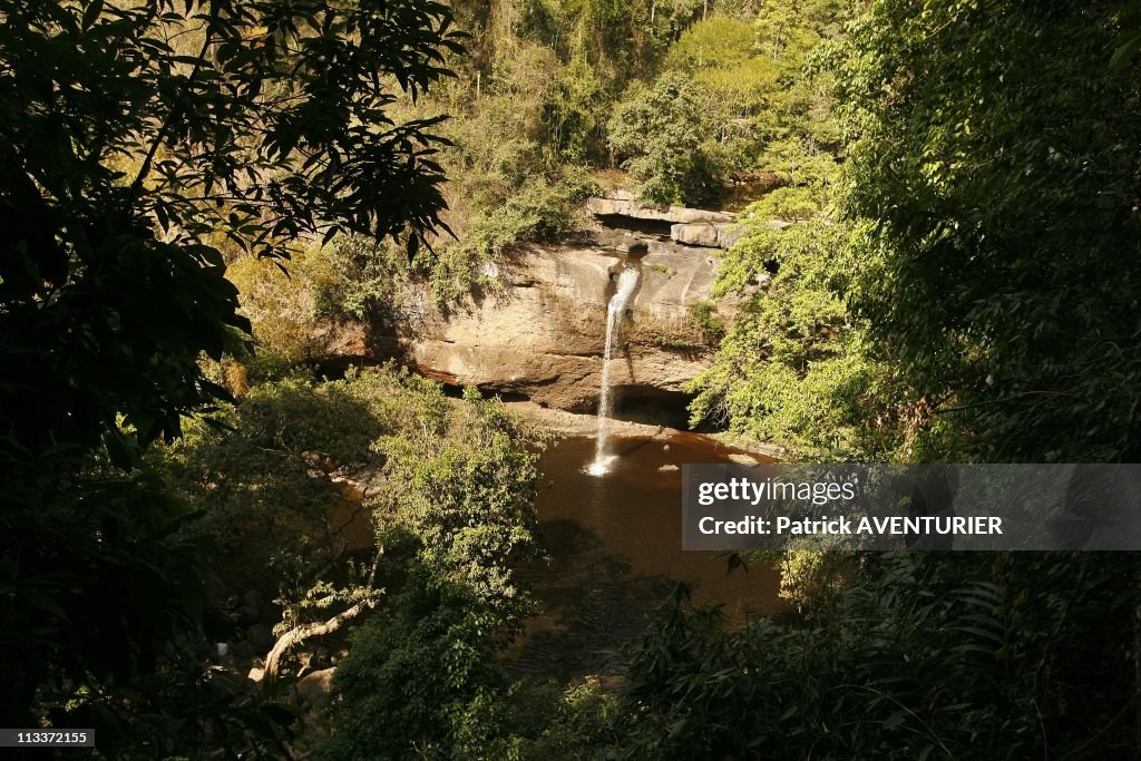 Thailand, Khao Yai National Park, placed on UNESCO's World Heritage list in Thailand in February, 2008.
