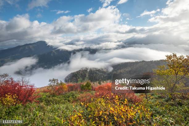 beginning of the journey - 山岳地帯 stockfoto's en -beelden