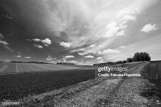 clouds over the hill - 田畑 stock pictures, royalty-free photos & images