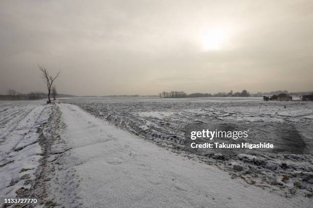 frozen time - 郊外の風景 stock-fotos und bilder